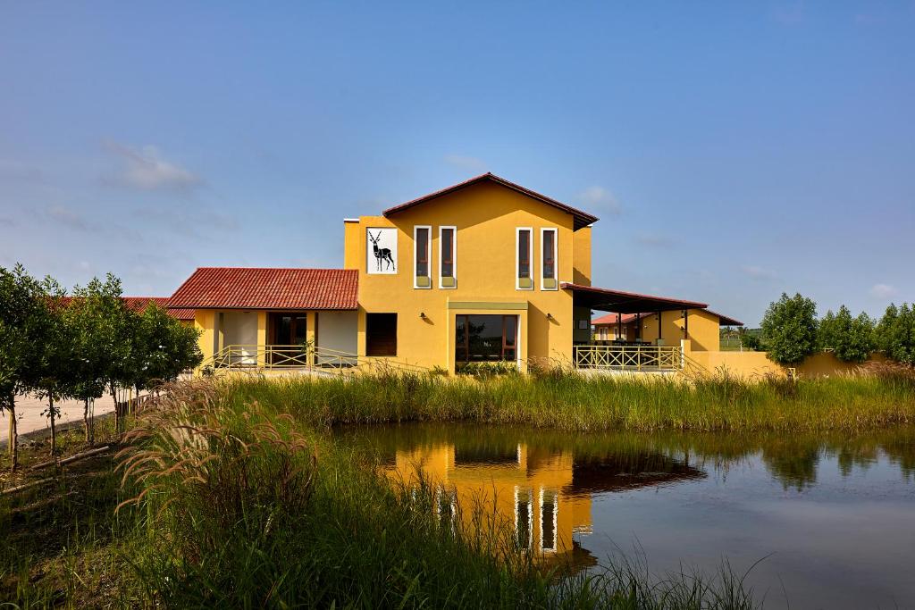 VelavadarBlackbuck Safari Lodge Velavadar的坐在水体旁边的黄色房子