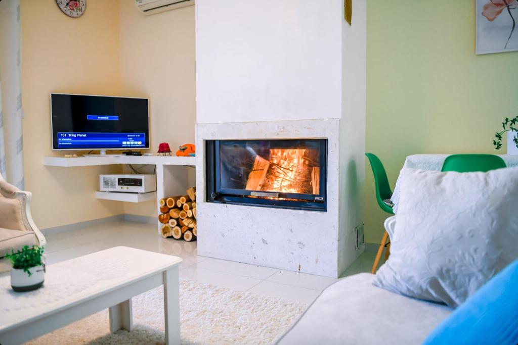 培拉特Villa Kuci, Drobonik Berat的客厅设有壁炉和电视。