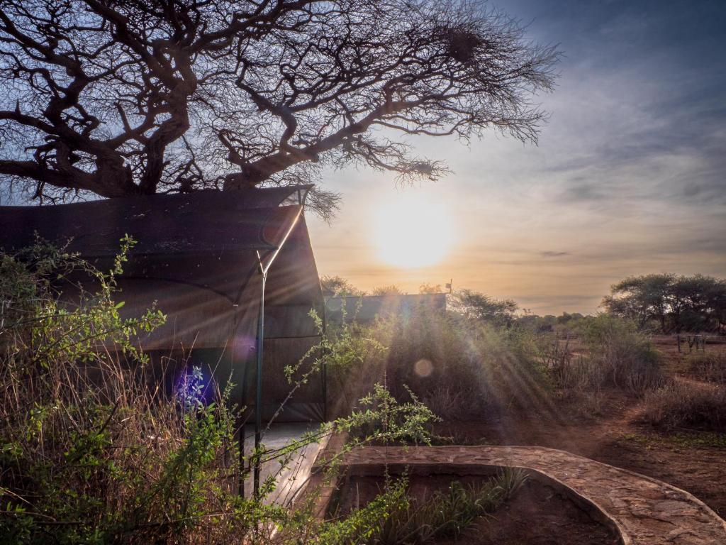 安博塞利Tulia Amboseli Safari Camp的树后日落的太阳美景