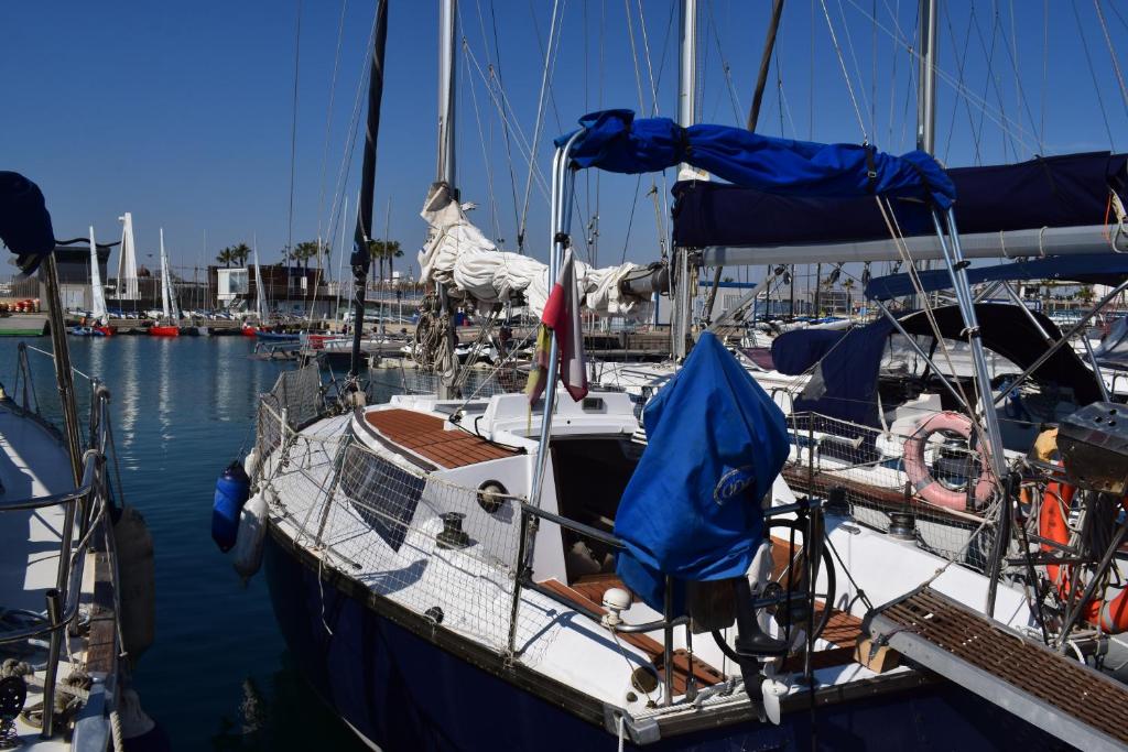 瓦伦西亚Velero en Puerto de Valencia - E&M Boats的停泊在水中的码头上的船只