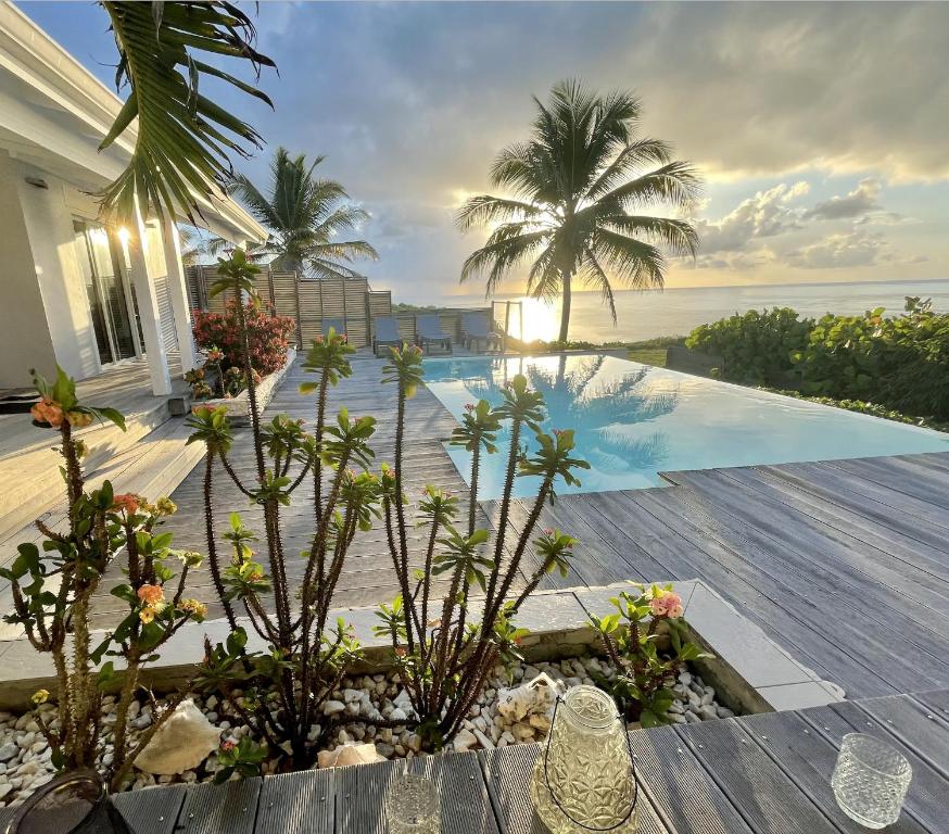 圣安尼Villa Estheria的一个带游泳池和棕榈树的后院
