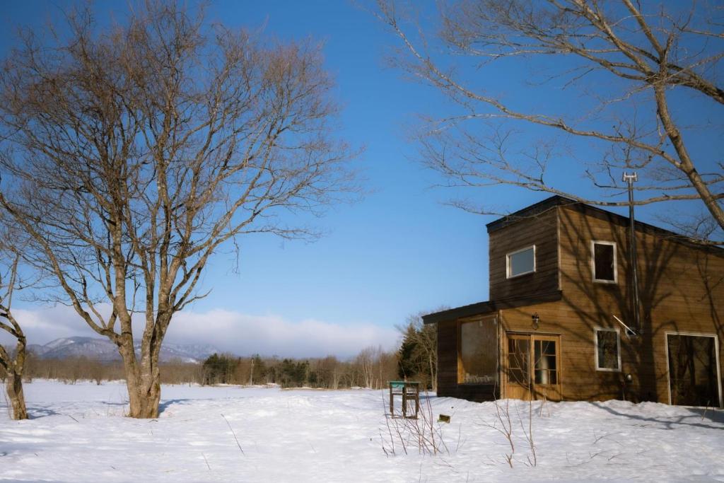 士别市小さな森の貸し切り宿Forest-House-Ranapirica的雪地里一棵树的老房子