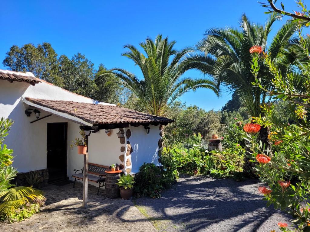 伊科德洛斯维诺斯Finca Llano de la cebolla的棕榈树和长凳小屋