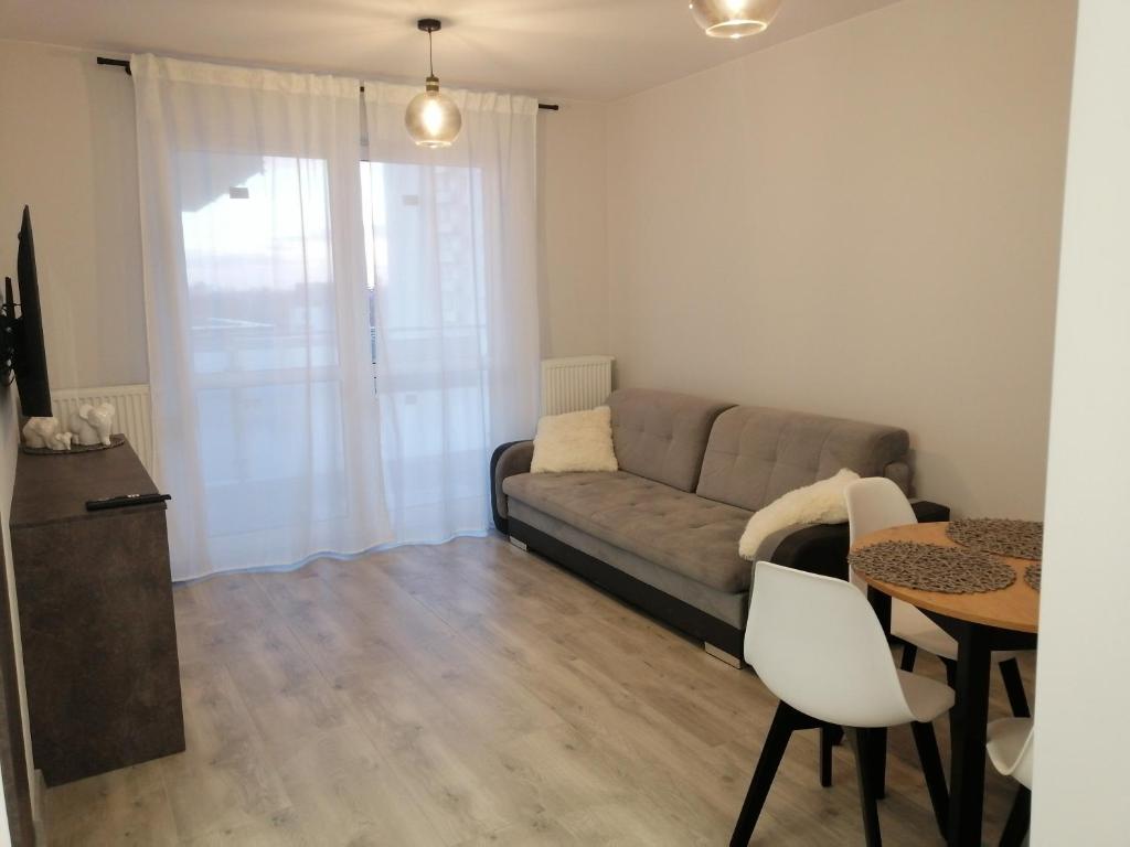 埃尔布隆格Apartament Mielczarskiego的客厅配有沙发和桌子
