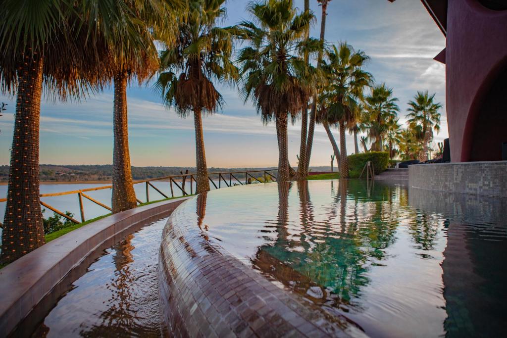 蒙塔吉尔蒙塔吉尔蒙诺别墅的棕榈树和水体的游泳池