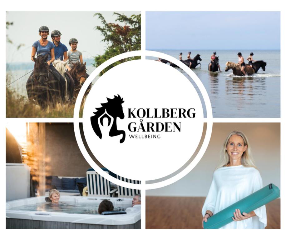 摩尔比兰加Ölands Yoga Studio & Islandshästar, Stugor & Rum的一群在水中骑马的人的照片