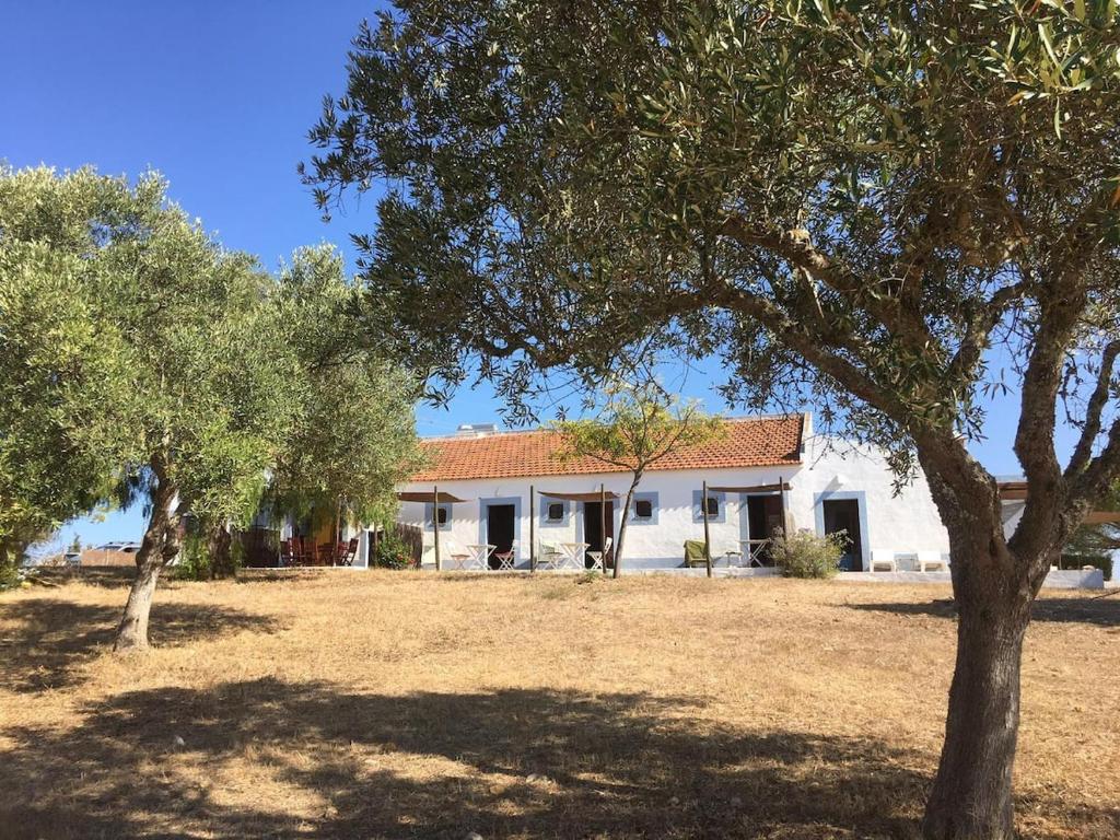 拉戈斯Casas na Vinha - Monte da Casteleja, Wine Estate - Eco Turismo Rural的前面有树木的白色房子