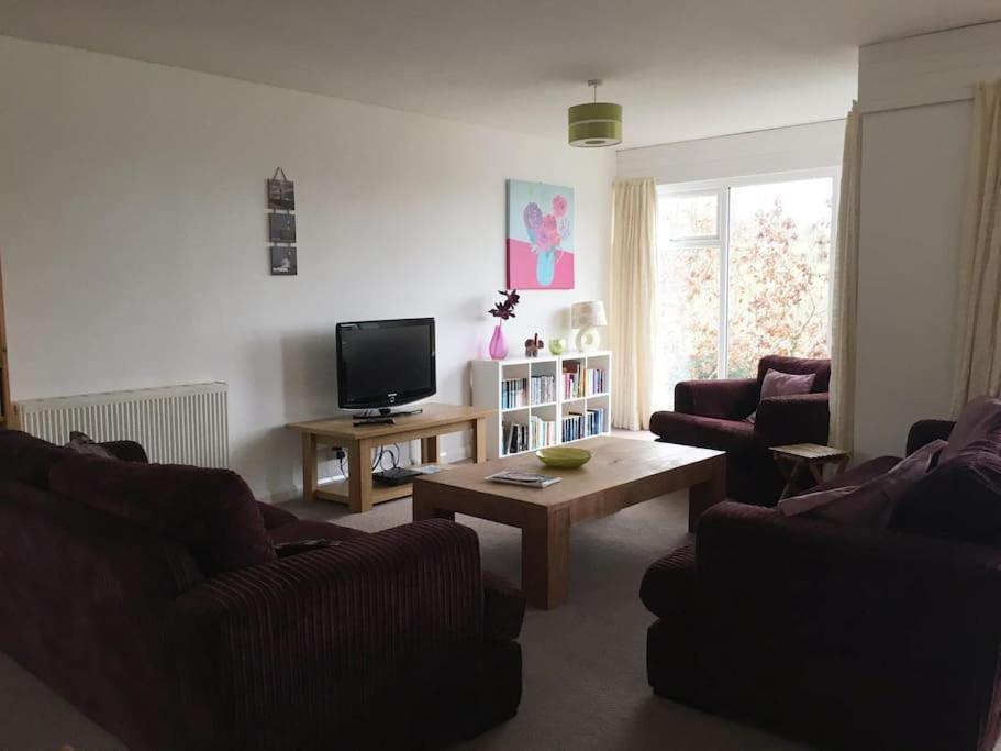 卡林顿Tamar Valley, Cornwall的客厅配有两张沙发和一台电视机