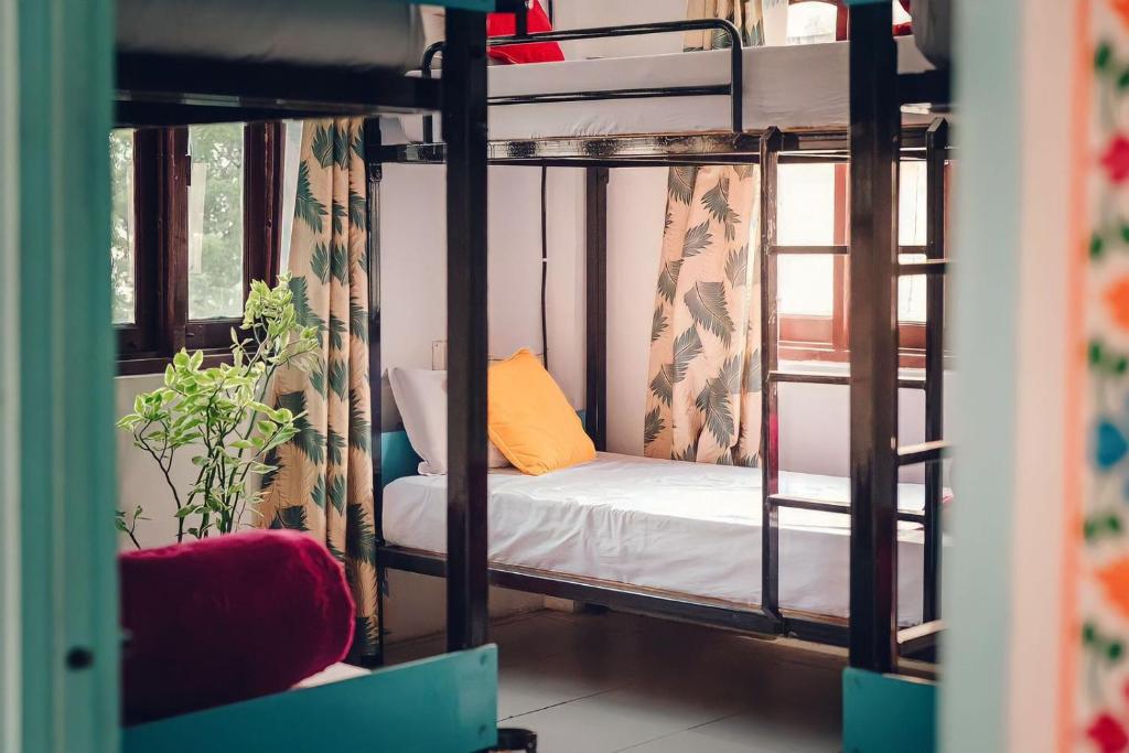乌代浦Hostel Nirvana的带两张双层床和椅子的房间
