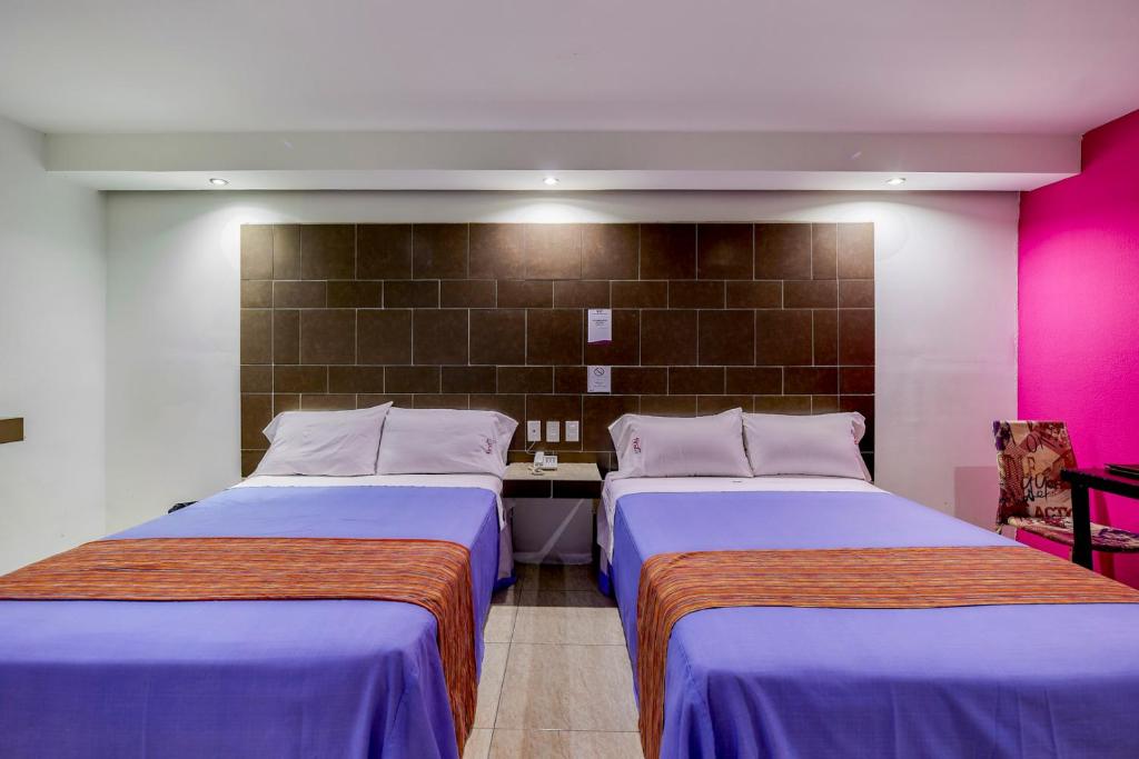 Texcoco de Mora首先商业酒店的粉红色和紫色客房的两张床