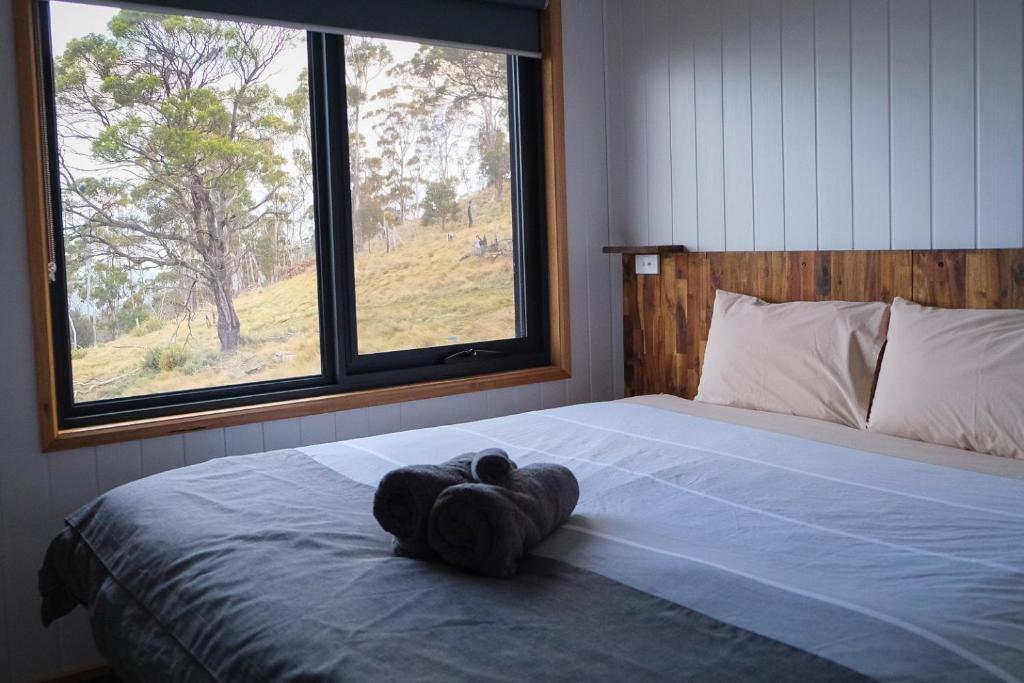 Mount RumneyMount Rumney Escapes - 5 Seaview Kangaroo House的一种在卧室的床上躺着的动物