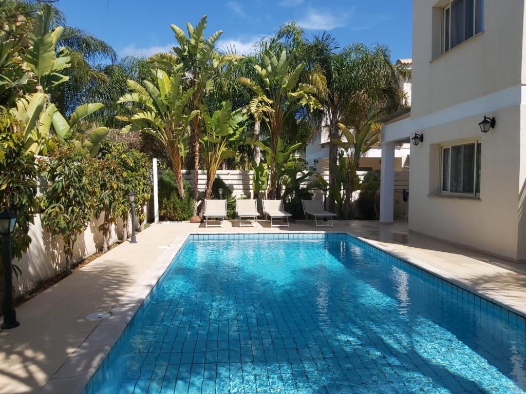普罗塔拉斯Anthorina 21的棕榈树房子后院的游泳池