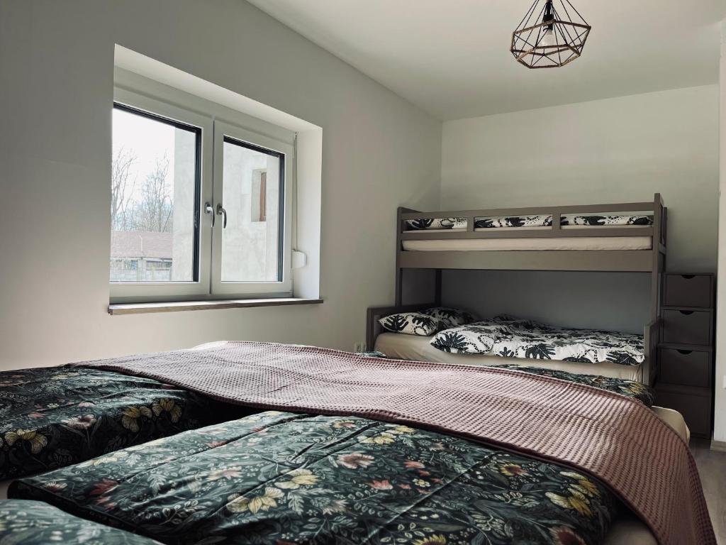 TišinaApartment Country House Zaton的一间卧室设有两张双层床和一扇窗户。