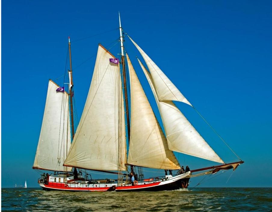 阿姆斯特丹Panta Rhei Boatique Hotel的两艘船,水中装有白色帆