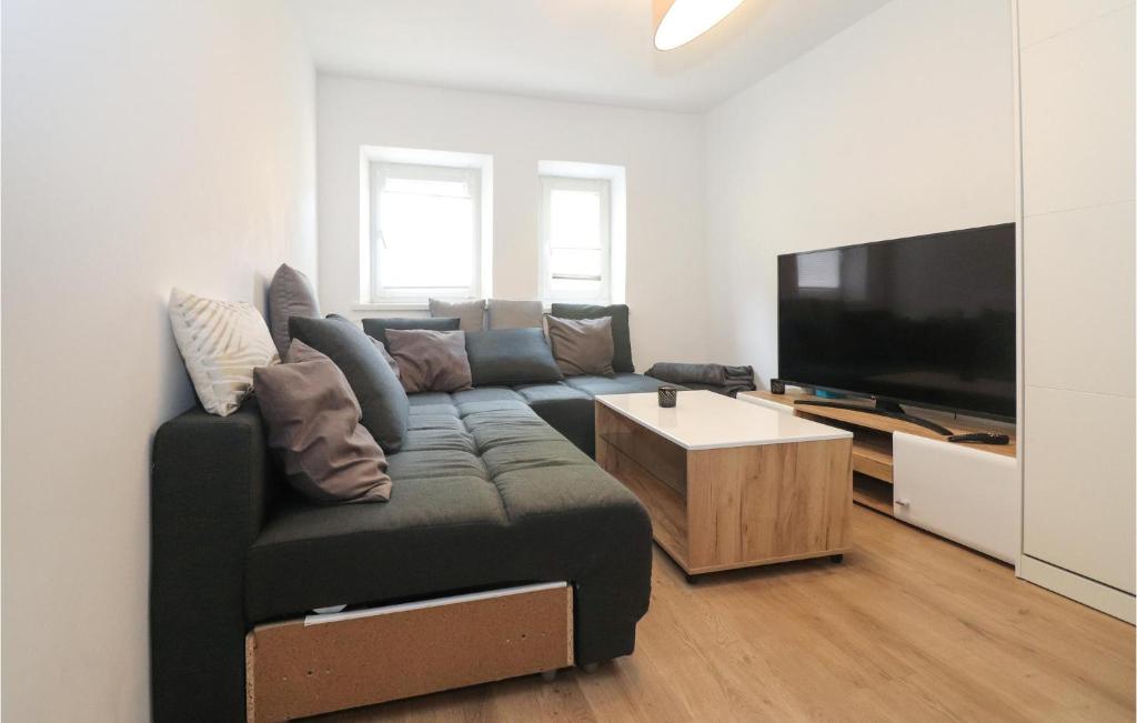 巴德伊舍Cozy Home In Bad Ischl With Wifi的带沙发和平面电视的客厅