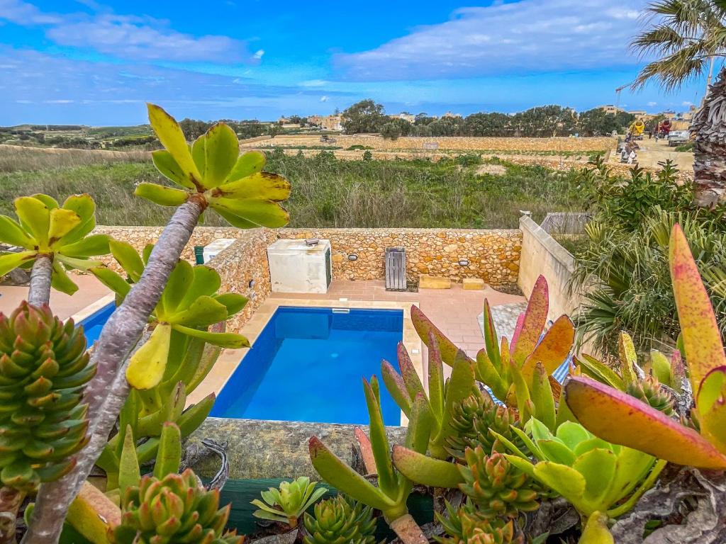 阿尔卜Villa Fieldview - Gozo Holiday Home的花园中种有植物的游泳池