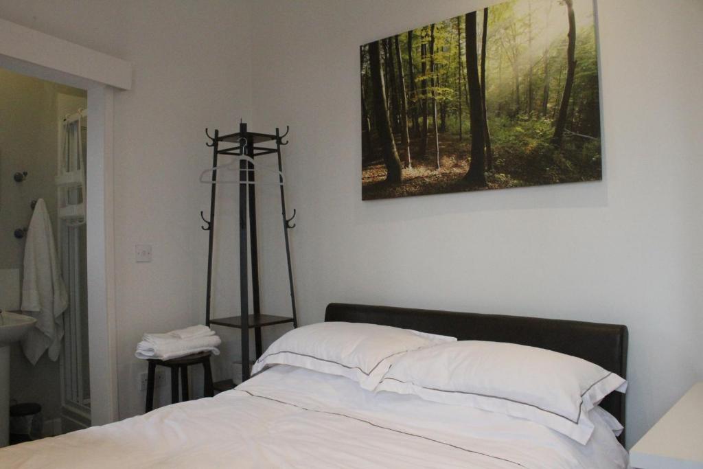 登比Vale View的卧室配有一张床,墙上挂有绘画作品