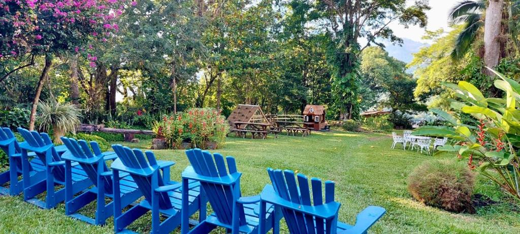 科潘玛雅遗址Hotel Hacienda San Lucas的坐在院子里的一排蓝色椅子