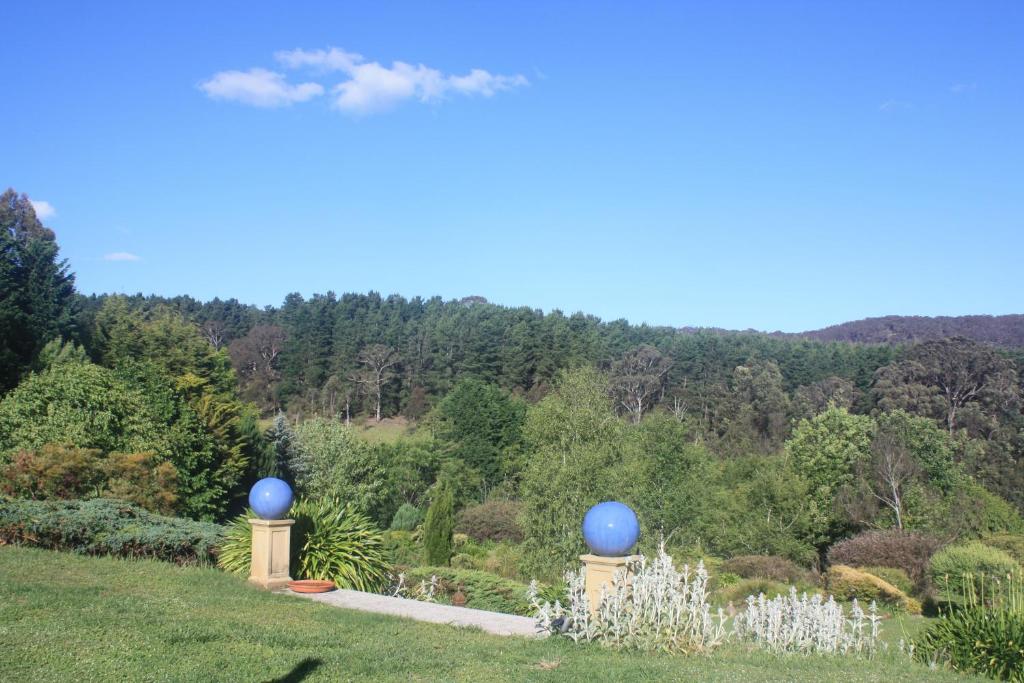 Little HartleyOaklands的享有蓝色圆顶花园的景色
