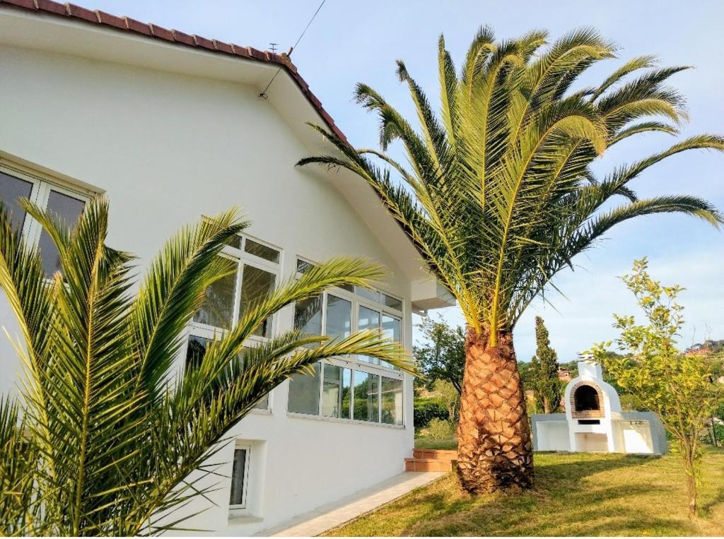 NavecesPreciosa Casa de Campo + Playa + Jardín + Mascotas的白色房子前面的棕榈树