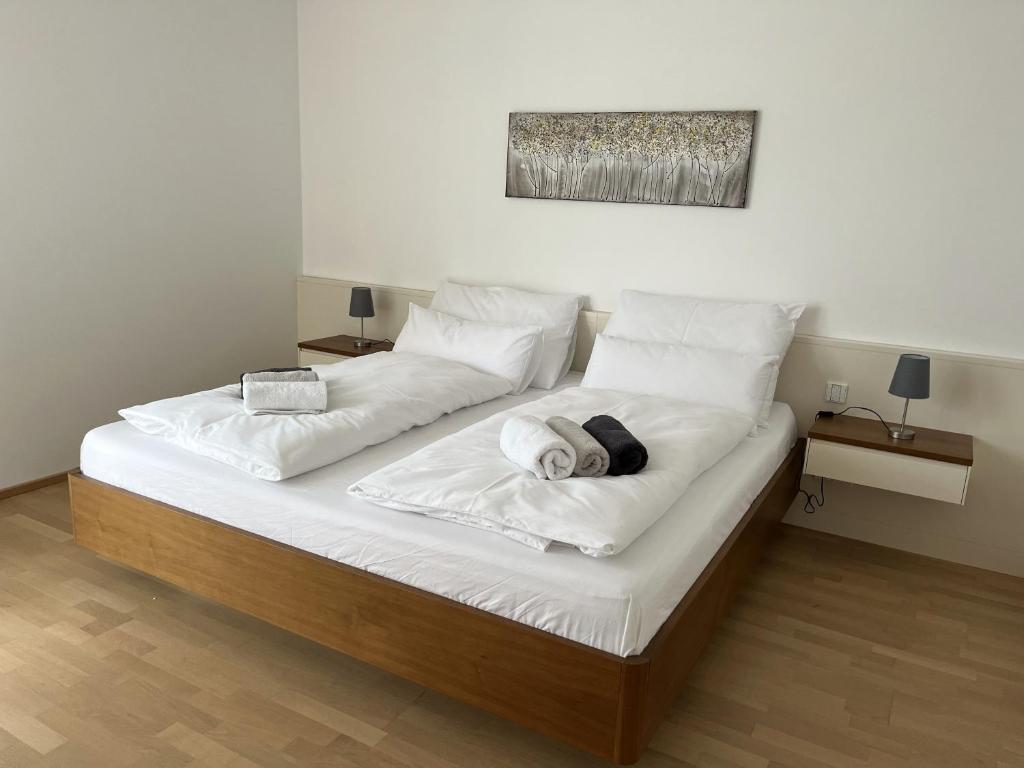 维也纳新城Luxusappartement mit Garage im Zentrum的床上有2个白色枕头