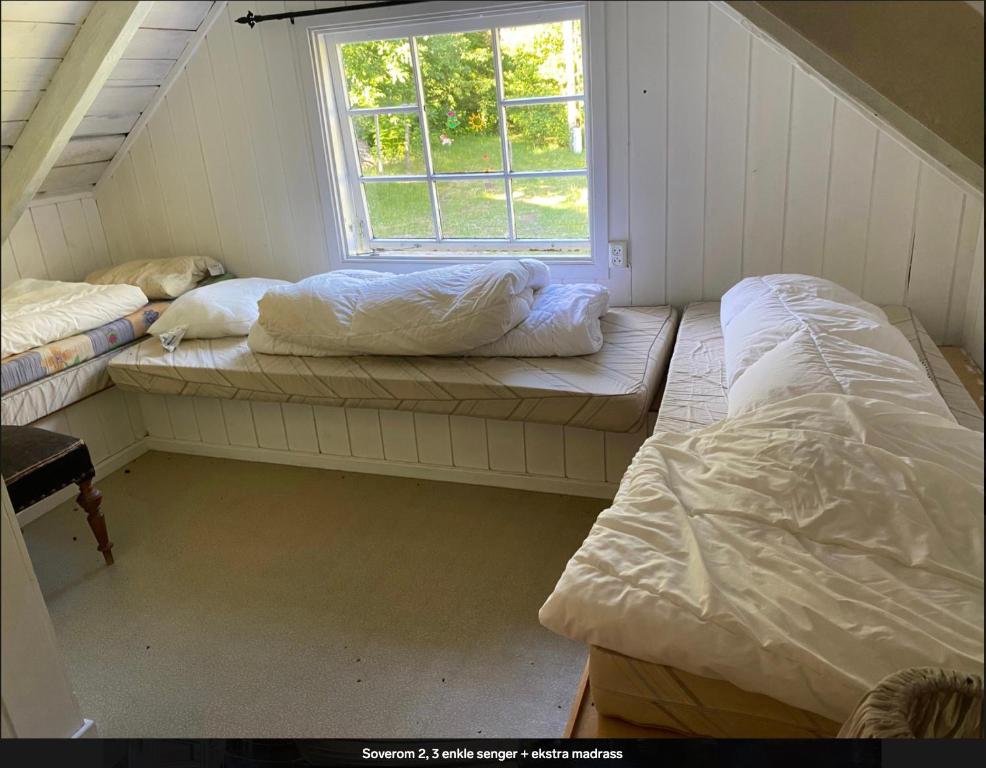 格里姆斯塔Sørlandshus i skjærgården Anneks的带窗户的客房内的两张床
