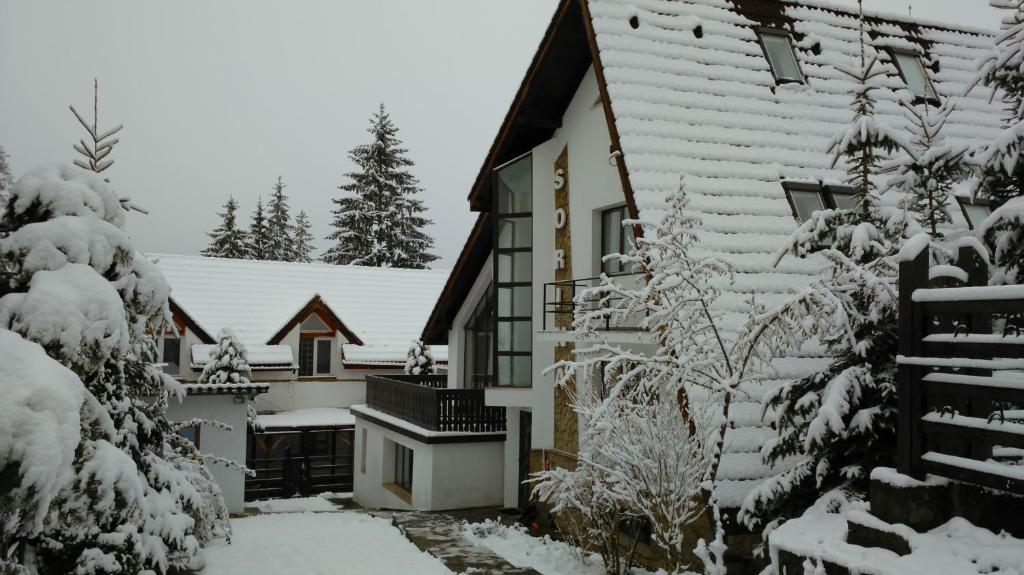 波亚纳布拉索夫维拉索丽娜酒店的一座房子,前面有树木,被雪覆盖着