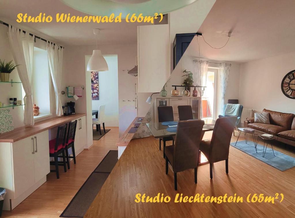新特尔布鲁Studios Am Wienerwald的厨房以及带桌椅的起居室。