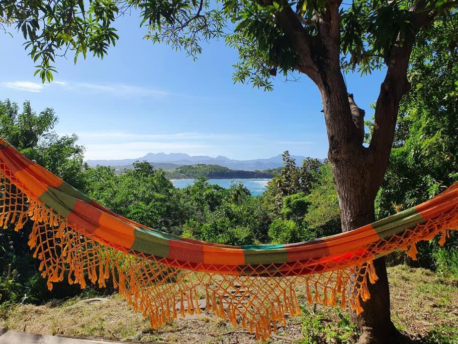 拉特里尼泰Villa Sunshine的挂在湖边树上的橘子吊床