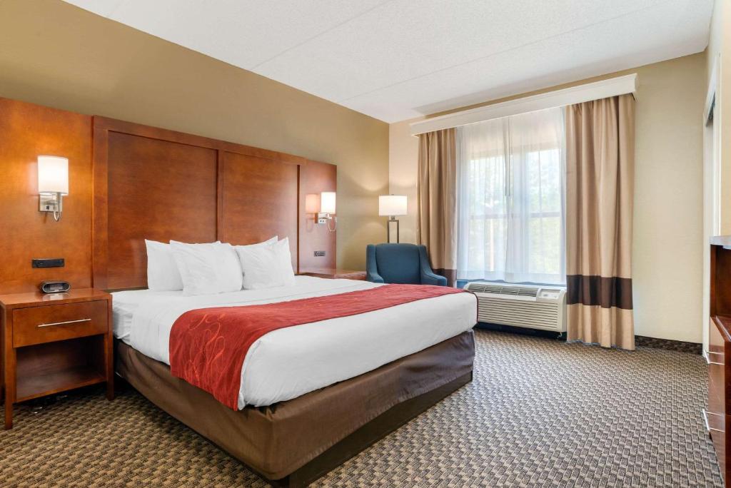 塔拉哈西Comfort Suites Tallahassee Downtown的一间设有大床和窗户的酒店客房