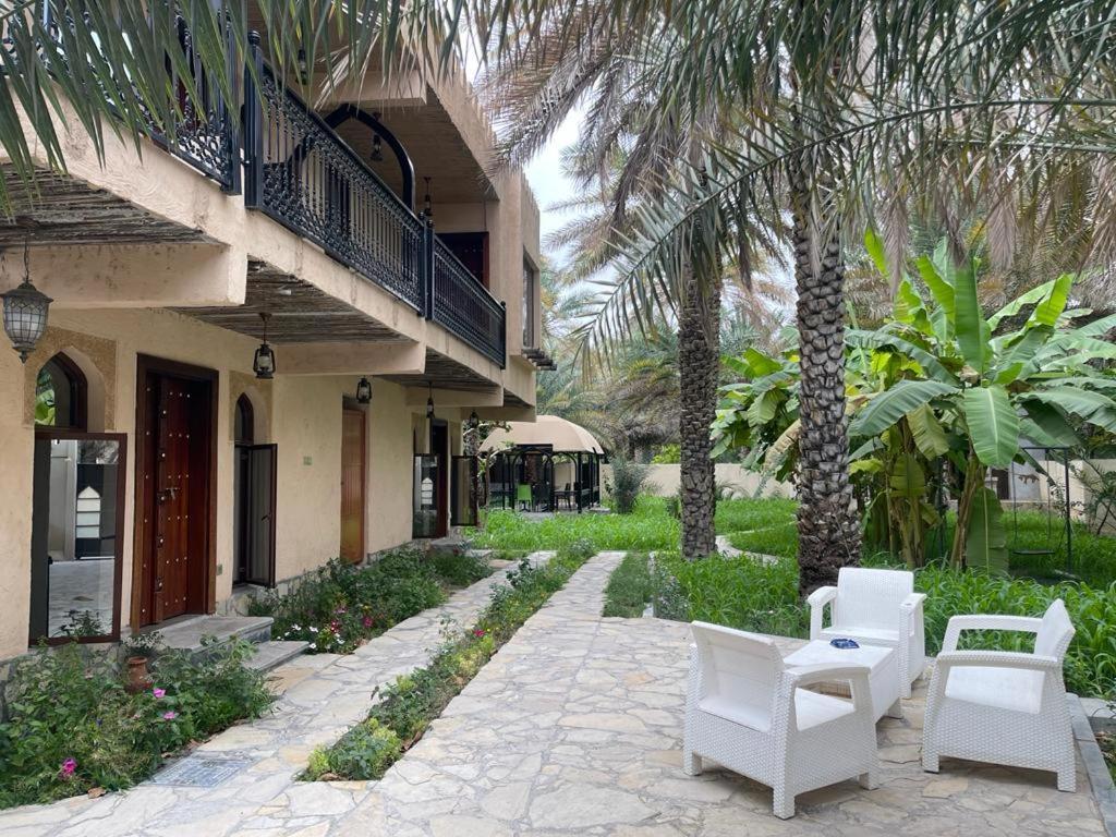 尼兹瓦Date Palm Inn的一座庭院,旁边是白色椅子和棕榈树