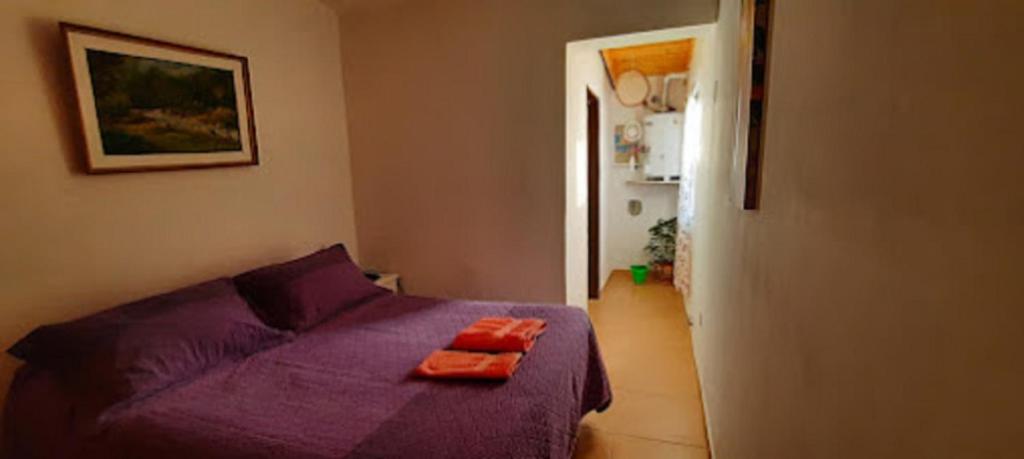 特雷利乌Soñar en la Patagonia的一间卧室配有一张紫色床,上面有两条橙色毛巾