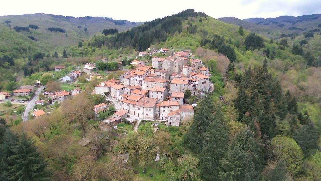 Castel FocognanoCasa Carda di Lai Loretta的山丘上的一个小村庄