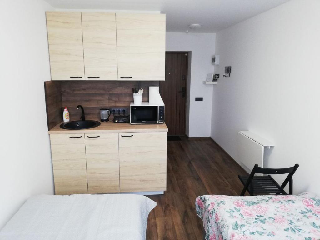 克莱佩达Bridge Apartments Klaipeda的一间带水槽和微波炉的小厨房
