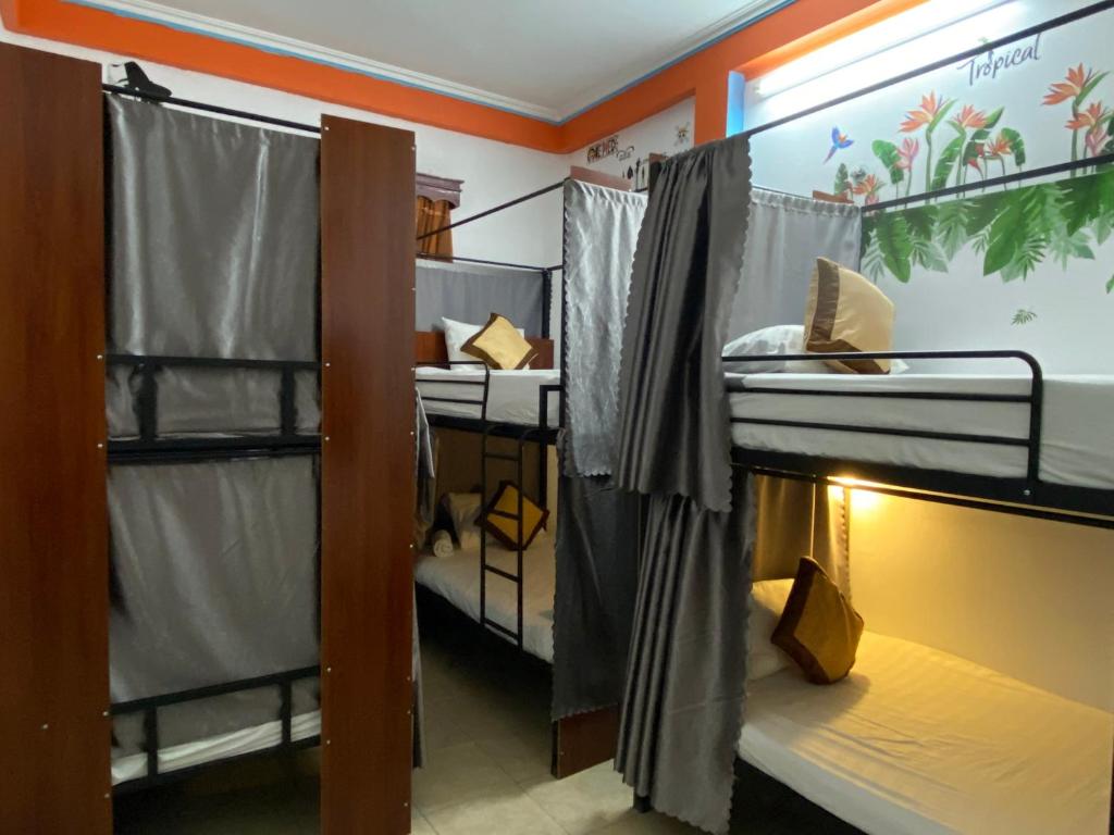 下龙湾Alex Hostel的客房设有两张双层床和一扇窗户。