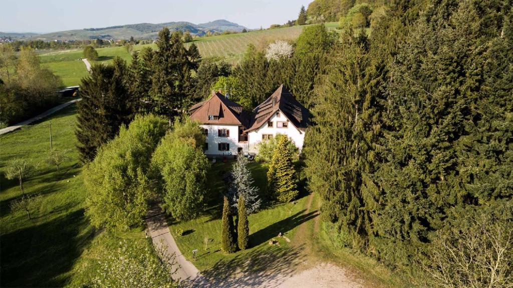 布赖斯高地区施陶芬Gästehaus Kaltenbach的树木茂密的山丘上房屋的空中景观
