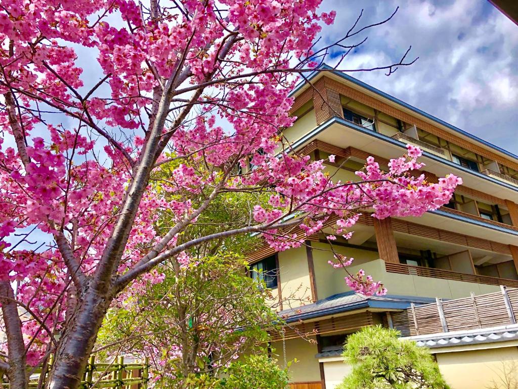 京都Kadensho, Arashiyama Onsen, Kyoto - Kyoritsu Resort的一座建筑物前有粉红色花的树