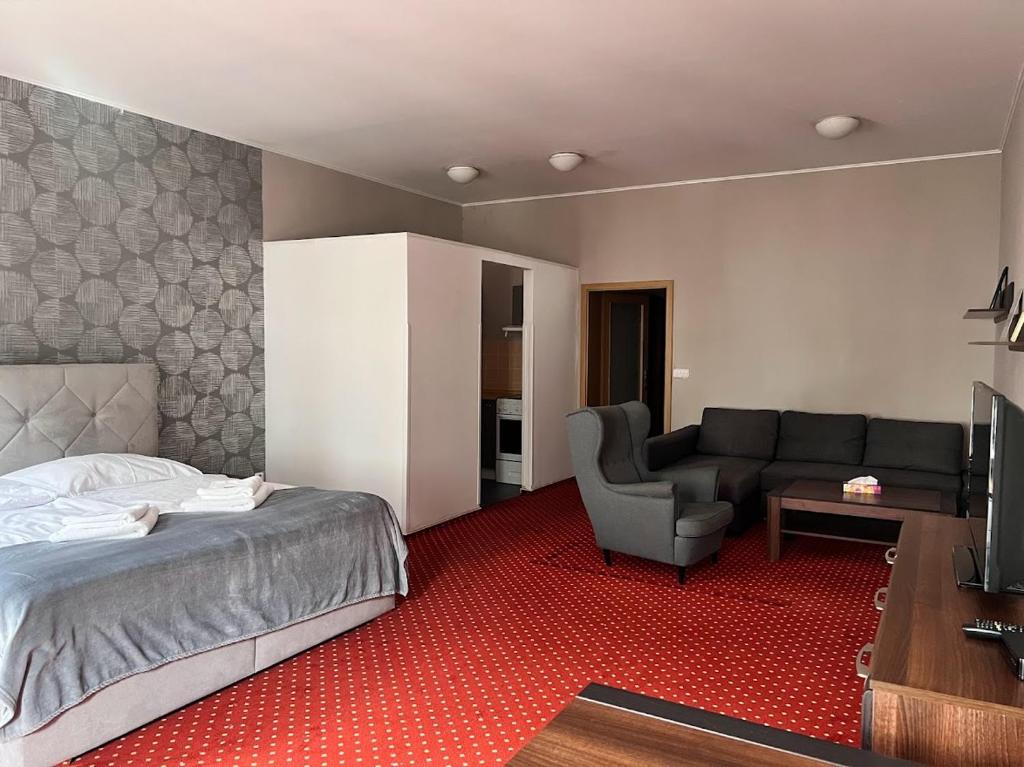 奥洛穆茨乌贾库巴酒店的一间卧室配有一张床、一张沙发和一台电视