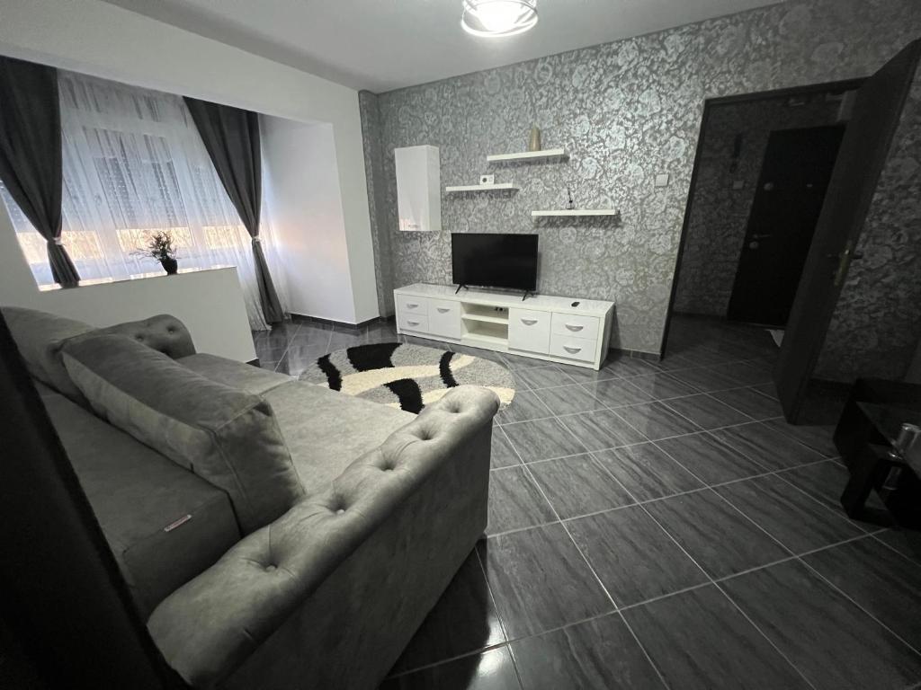 雅西Apartament spațios, zona centrală în Iași的带沙发和电视的客厅