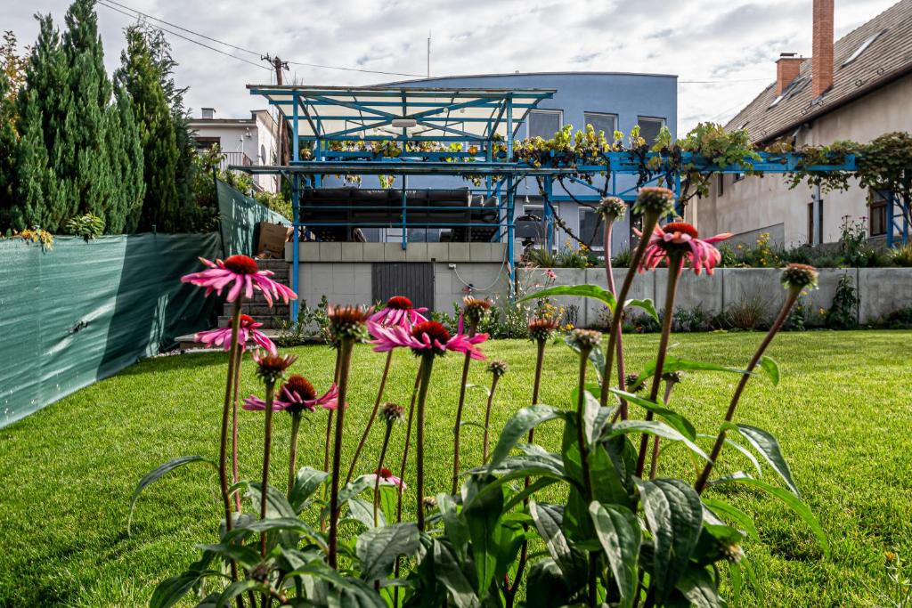 普列维扎Hotel Squash Dependance的院子里种着粉红色花的花园