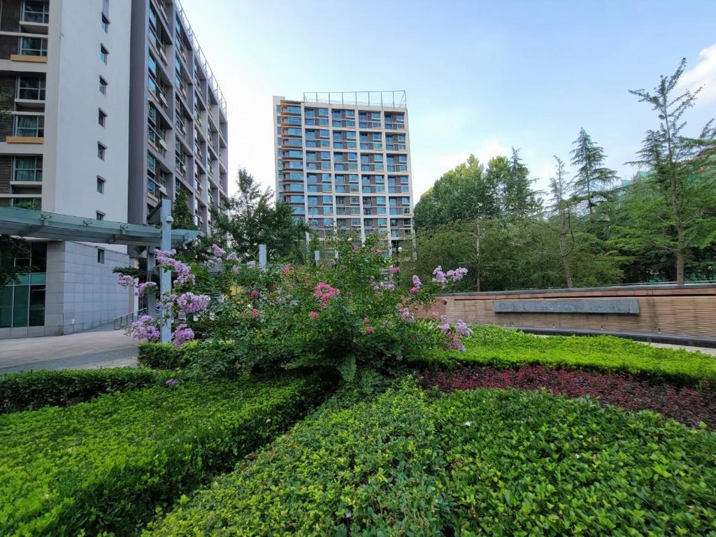 北京Beijing Yasmine Seasons Park Apartment Hotel的鲜花盛开的花园以及背景建筑