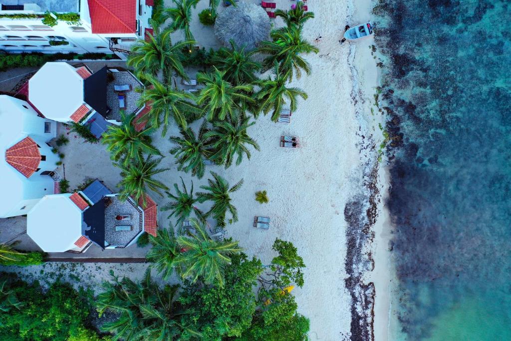 图卢姆Casa Colibrí Tankah的享有棕榈树海滩和大海的上方景色