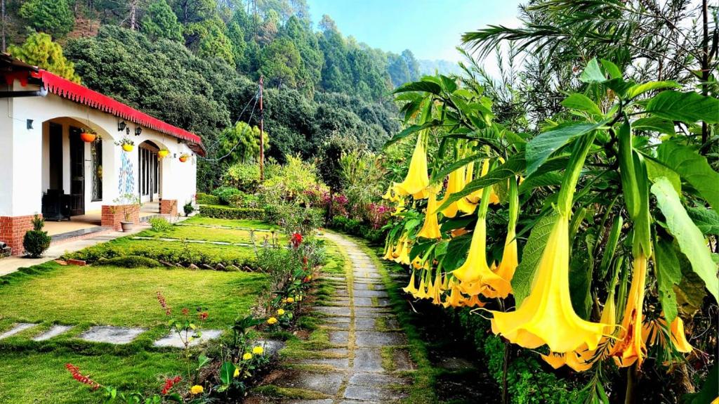 博瓦利Just Naturals Wellness Resort Nainital的一座种有黄色香蕉树的花园