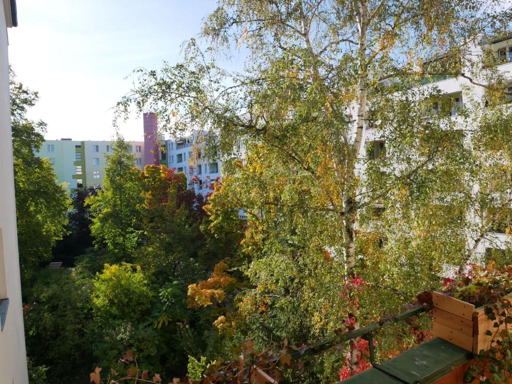 柏林Private room in the centre of Berlin的享有树木和建筑花园的景色