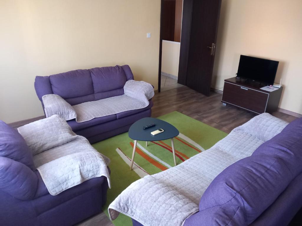 波德戈里察Apartment Filipovic的客厅配有两张沙发和一台电视机