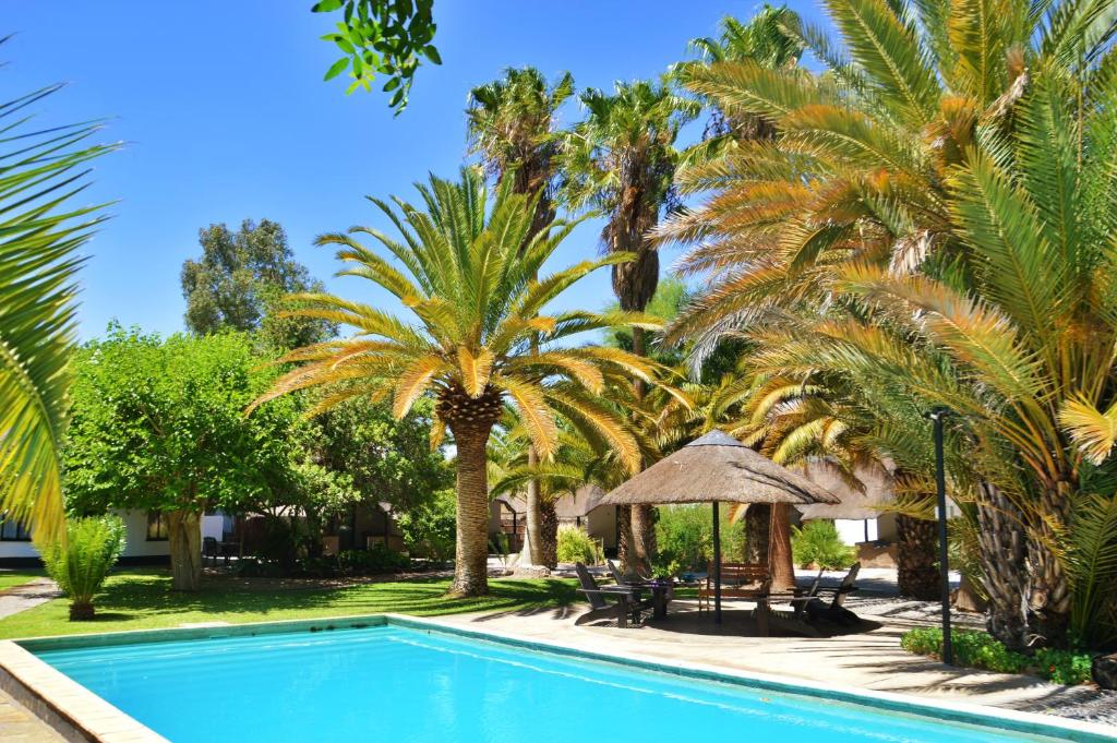 奥马鲁鲁Central Hotel Omaruru的一座棕榈树和遮阳伞的游泳池