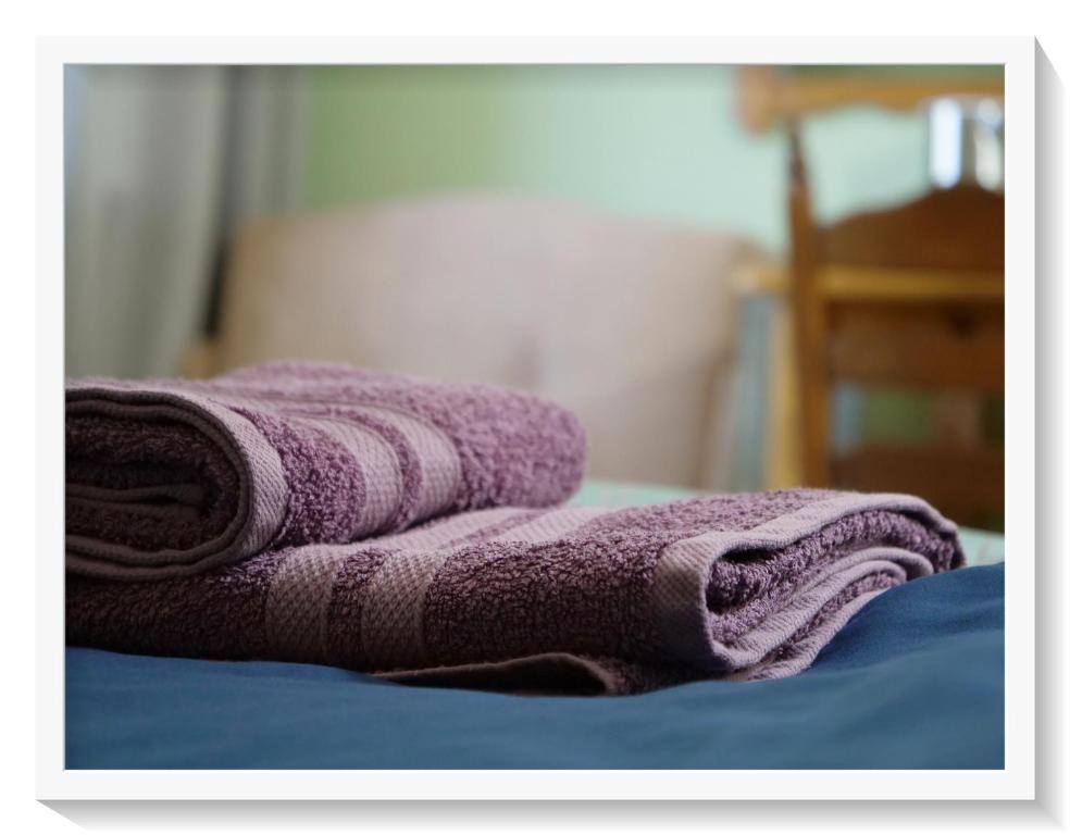 萨比诺瓦Agroturystyka Chłopy的床上一堆紫色毛巾