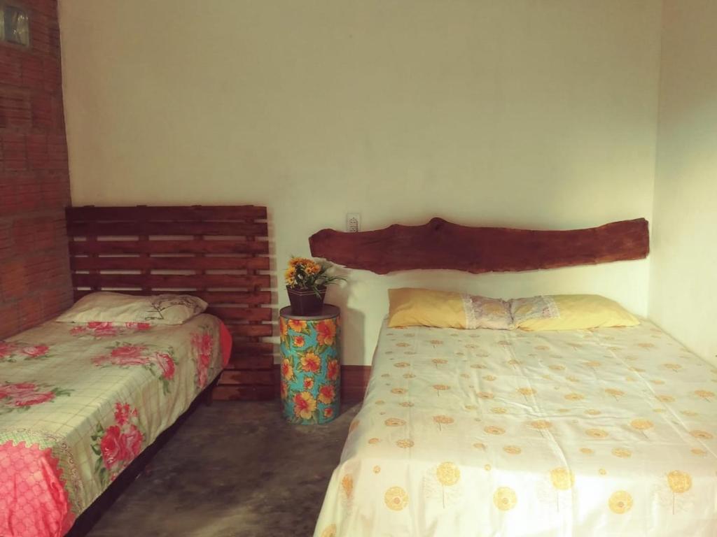 帕尔梅拉斯Sítio Estrela da Manhã的一间卧室,配有两张床