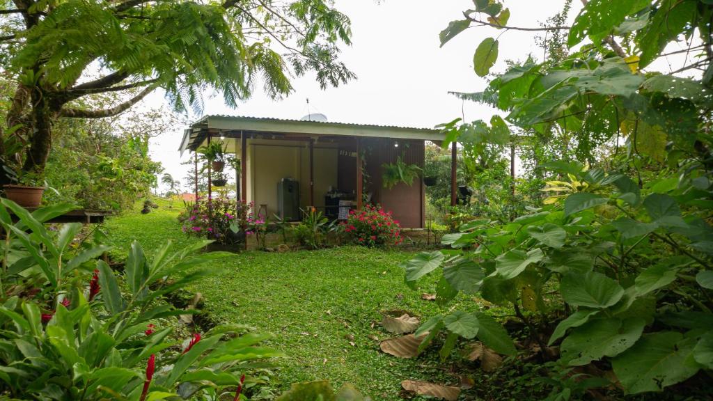 比加瓜Casita Rivera Río Celeste的花园中的小房子