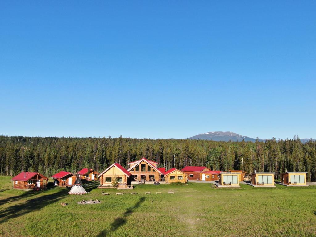 怀特霍斯北极光度假酒店及水疗中心的一群树木林立的房屋